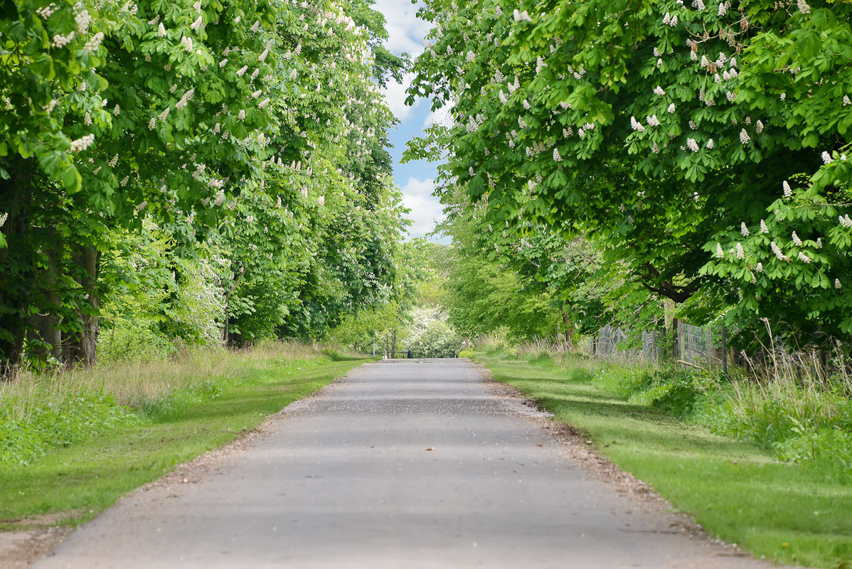 Beautiful private country lanes